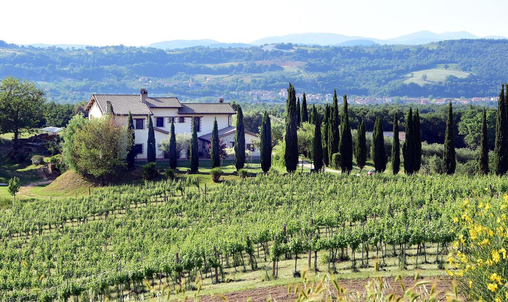 Il Collicello Villa Narni Eksteriør bilde